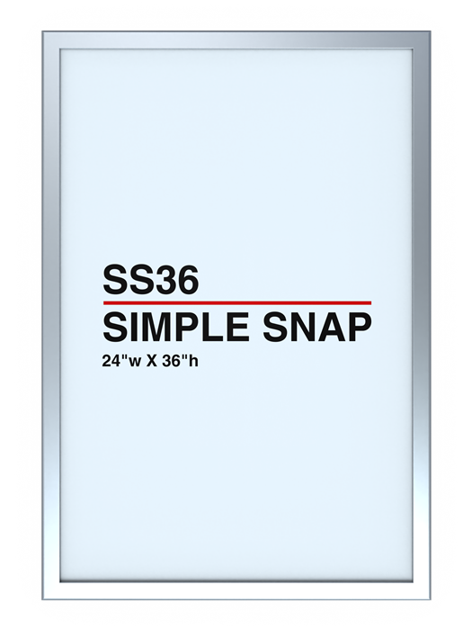 SS36